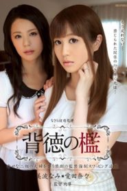 IPZ-508 สองโจรบุกเข้าบ้านจับเมียเยสต่อหน้าสามี ซับไทยเอวี
